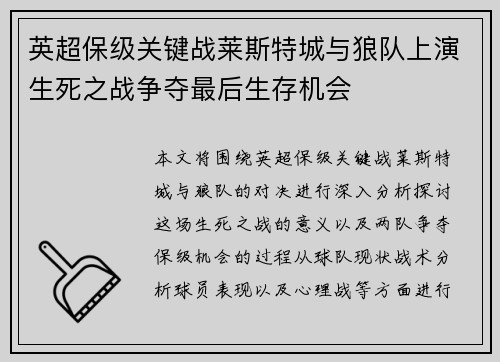 英超保级关键战莱斯特城与狼队上演生死之战争夺最后生存机会